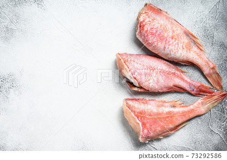 Raw Red perch or seabass fish. White background. Top view. Copy space 73292586