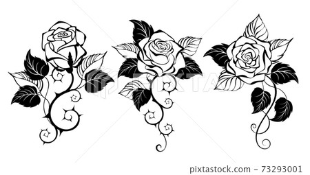 Three outline roses.eps Three outline roses.eps 73293001