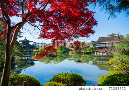 平安神宮的秋葉在京都直美館和太平閣 73293852