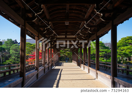 京都平安神宮的太平閣和秋葉 京都平安神宮的太平閣和秋葉 73294163