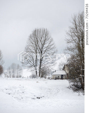 Snowy landscape in the mountains of the atlantic pyrenees Snowy landscape in the mountains of the atlantic pyrenees 73294416