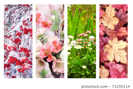 Four seasons of year Four seasons of year 73295214