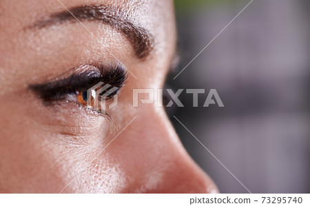 Female eye with beautiful long lashes. 73295740