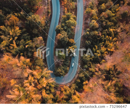 The road from above in the evening orange forest 73296647