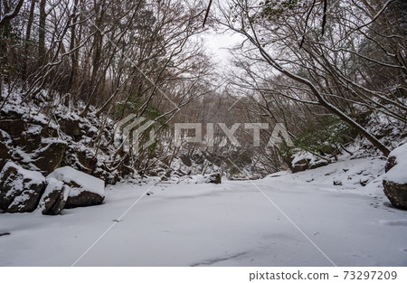 冬季菊池谷的冰雪景觀 冬季菊池谷的冰雪景觀 73297209
