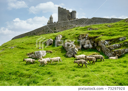 The Rock of Cashel, County Tipperary in Ireland. The Rock of Cashel, County Tipperary in Ireland. 73297928