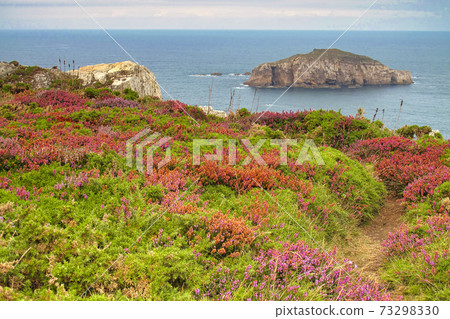 Protected Landscape of Cabo de Penas, Asturias, Spain Protected Landscape of Cabo de Penas, Asturias, Spain 73298330