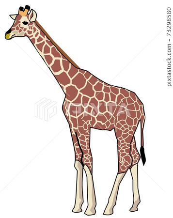 動物長頸鹿 動物長頸鹿 73298580