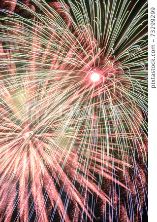 Large fireworks that color the night (Todabashi / Itabashi Fireworks Festival) Large fireworks that color the night (Todabashi / Itabashi Fireworks Festival) 73299299