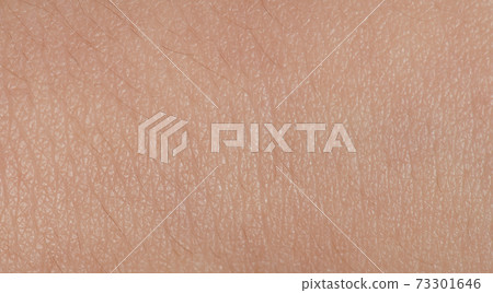 Surface of brown skin background 73301646