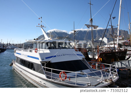 Cape Town, South Africa Cape Town, South Africa 73302512