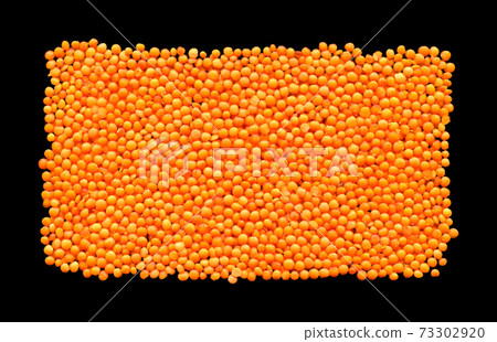 Red and orange organic lentil grains raw texture, isolated on black background Red and orange organic lentil grains raw texture, isolated on black background 73302920