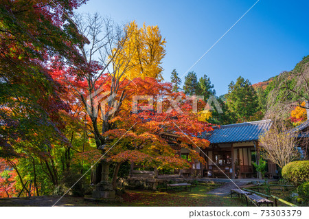 Autumn leaves of Konzoji Temple in Kyoto Autumn leaves of Konzoji Temple in Kyoto 73303379