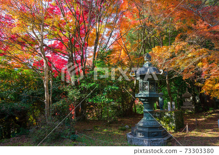 Autumn leaves of Konzoji Temple in Kyoto 73303380