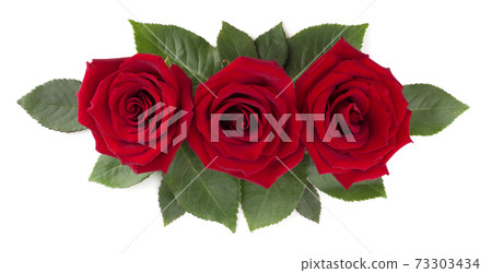 Red rose flowers and leaves on white Red rose flowers and leaves on white 73303434