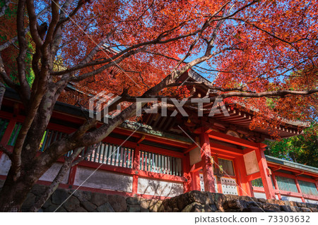 Kyoto Autumn leaves of Jingoji Temple Kyoto Autumn leaves of Jingoji Temple 73303632