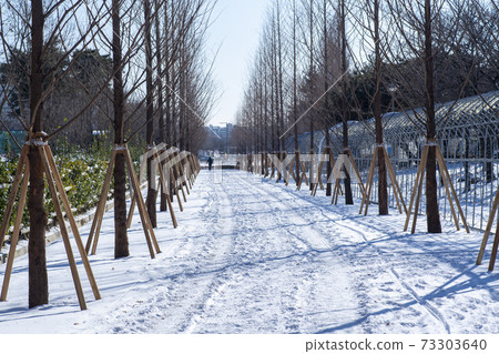 Hwarang Amusement Park, Ansan City, Gyeonggi-do 73303640
