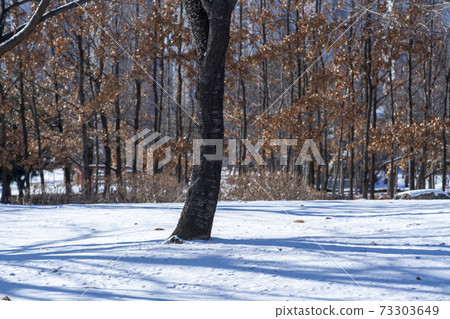 Hwarang Amusement Park, Ansan City, Gyeonggi-do 73303649