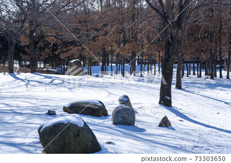 Hwarang Amusement Park, Ansan City, Gyeonggi-do 73303650