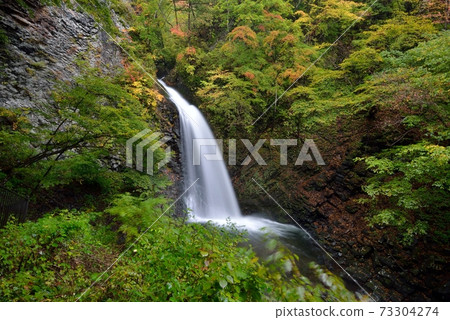 Take a picture of Ozen Waterfall at the beginning of autumn colors, which is beautiful like a queen in the Shirasuna Valley, Nakanojo Town, Gunma Prefecture. Take a picture of Ozen Waterfall at the beginning of autumn colors, which is beautiful like a queen in the Shirasuna Valley, Nakanojo Town, Gunma Prefecture. 73304274