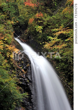 Take the autumn leaves of Ozen Waterfall in the Shirasuna Valley, Nakanojo Town, Gunma Prefecture in a vertical position. Take the autumn leaves of Ozen Waterfall in the Shirasuna Valley, Nakanojo Town, Gunma Prefecture in a vertical position. 73304278