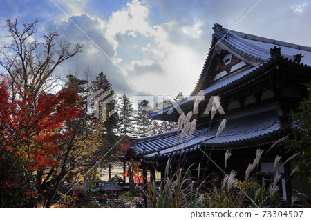 浪漫的茨城縣（新幹聖徒晚年回到京都，但是他的妻子Keishin在這片稻田裡度過了剩下的幾十年嗎？） 73304507