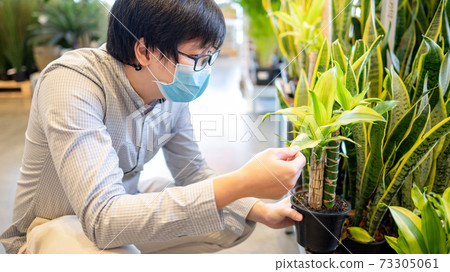 Buying nature decoration for home quarantine 73305061