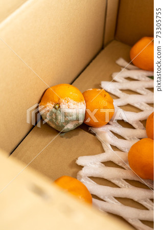 紙板中殘留的橘子 紙板中殘留的橘子 73305755
