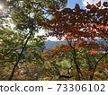 Mountain in autumn colors 73306102