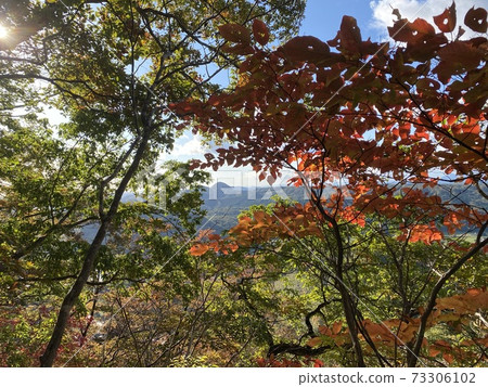 Mountain in autumn colors 73306102