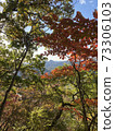 Mountain in autumn colors 73306103