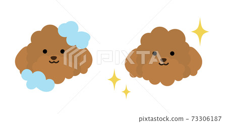 插圖的狗洗髮前後 73306187