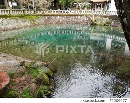 山口縣美瑛市秋吉鎮別府it島神社的mystic Benten Pond 照片素材 圖片 圖庫