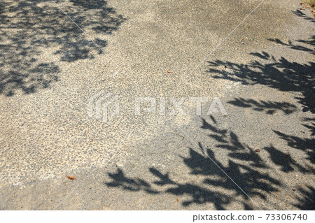 Silhouette created by sunlight / Shadow of shrubs (city snap) Silhouette created by sunlight / Shadow of shrubs (city snap) 73306740