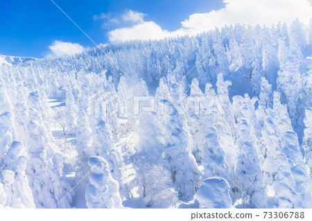 Yamagata Zao's tree ice and blue sky Yamagata City, Yamagata Prefecture Yamagata Zao's tree ice and blue sky Yamagata City, Yamagata Prefecture 73306788