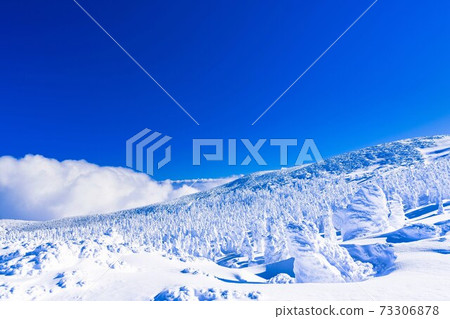 Yamagata Zao's tree ice and blue sky Yamagata City, Yamagata Prefecture 73306878
