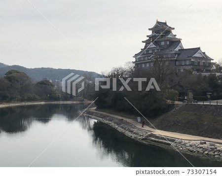 岡山城堡在冬天 岡山城堡在冬天 73307154