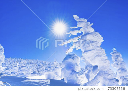 Yamagata Zao's tree ice and blue sky Yamagata City, Yamagata Prefecture 73307536