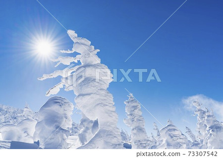 Yamagata Zao's tree ice and blue sky Yamagata City, Yamagata Prefecture 73307542