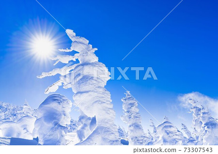 Yamagata Zao's tree ice and blue sky Yamagata City, Yamagata Prefecture 73307543