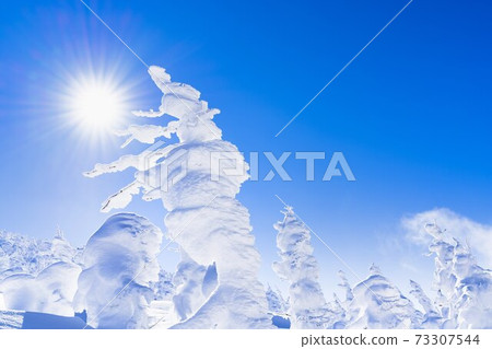 Yamagata Zao's tree ice and blue sky Yamagata City, Yamagata Prefecture Yamagata Zao's tree ice and blue sky Yamagata City, Yamagata Prefecture 73307544