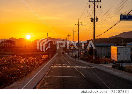 Sunset road 73307884