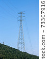 pylon 73307916