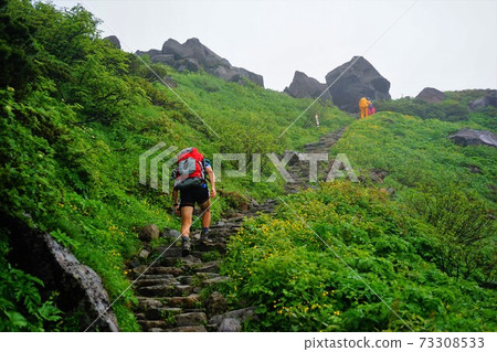 沿著白山山路行走的登山者 沿著白山山路行走的登山者 73308533
