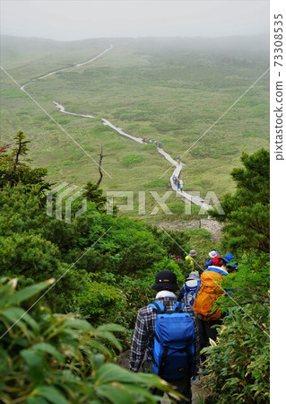 登山者在白山Midagahara的木製小徑上行走 登山者在白山Midagahara的木製小徑上行走 73308535