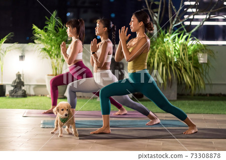 Asian weman group do yoga in city at night 73308878
