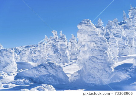 Yamagata Zao's tree ice and blue sky Yamagata City, Yamagata Prefecture 73308906