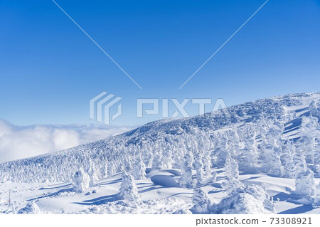 Yamagata Zao's tree ice and blue sky Yamagata City, Yamagata Prefecture Yamagata Zao's tree ice and blue sky Yamagata City, Yamagata Prefecture 73308921