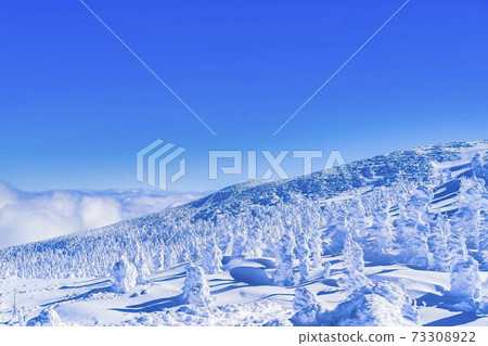 Yamagata Zao's tree ice and blue sky Yamagata City, Yamagata Prefecture Yamagata Zao's tree ice and blue sky Yamagata City, Yamagata Prefecture 73308922