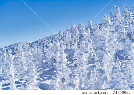 Yamagata Zao's tree ice and blue sky Yamagata City, Yamagata Prefecture Yamagata Zao's tree ice and blue sky Yamagata City, Yamagata Prefecture 73308952